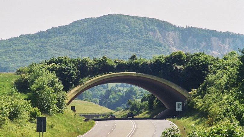 Grünbrücke an der B 38 in Hessen Grünbrücke an der B 38 in Hessen