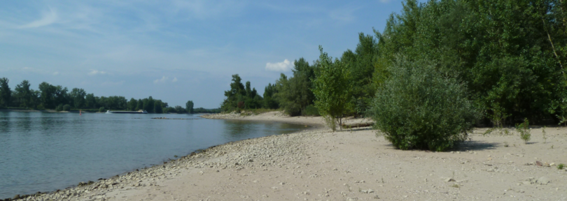 Kiesstrand Rhein Kiesstrand Rhein